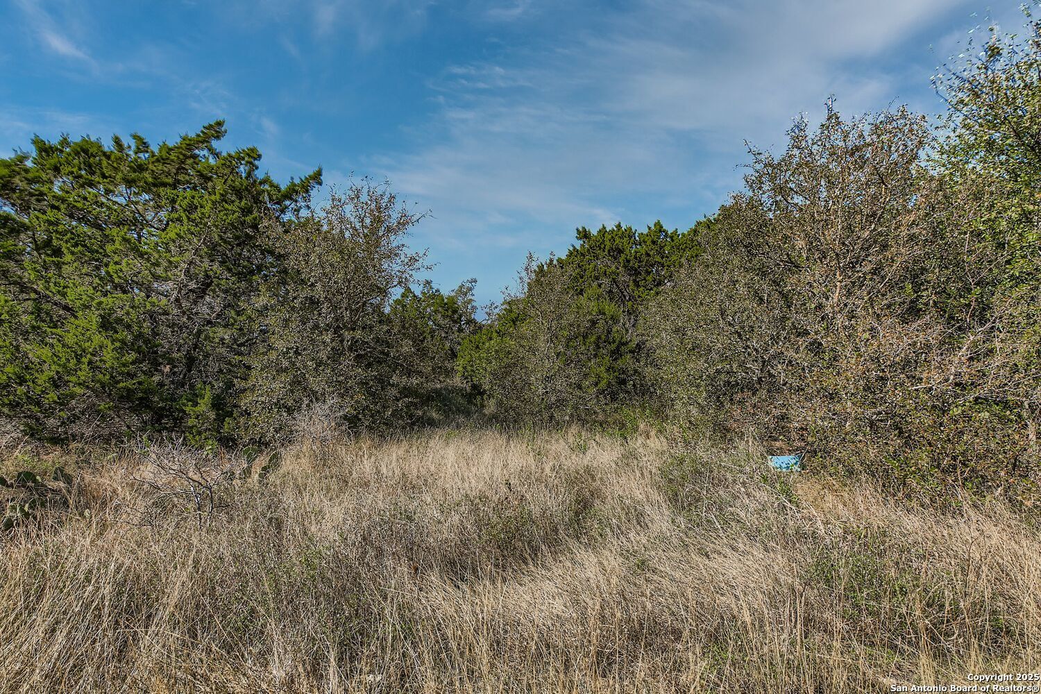 LOT 229 Cr 2748
